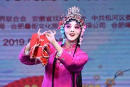 庐剧 独臂状元 全集完整版视频mp4网盘打包下载