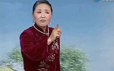 流畅版河南坠子《中红袍》莫红梅mp4打包下载
