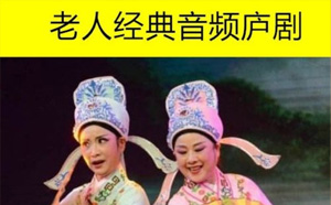 313首庐剧泪洒鸳鸯桥泪洒鸳鸯钗等音频MP3合集音频百度网盘打包下载