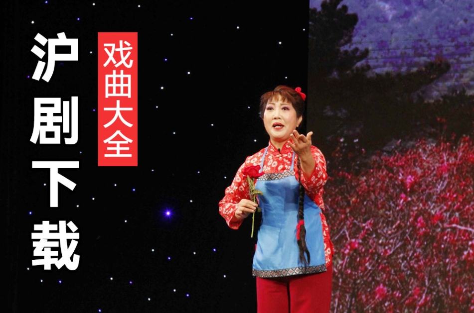 沪剧紫竹调 解洪元沪剧 丁是娥沪剧下载 百度网盘分享